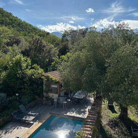 Villa Bonheur Vallespir Céret Exteriér fotografie