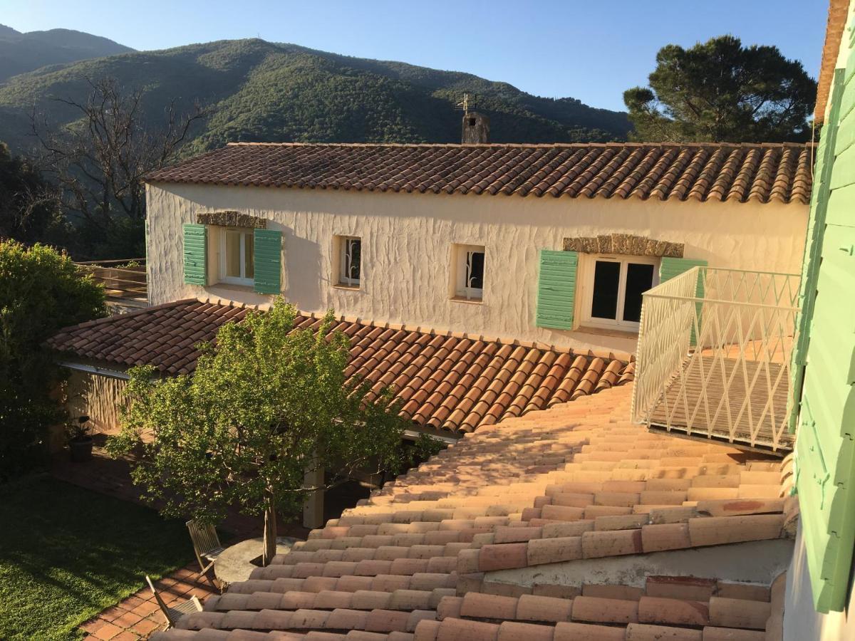 Villa Bonheur Vallespir Céret Exteriér fotografie
