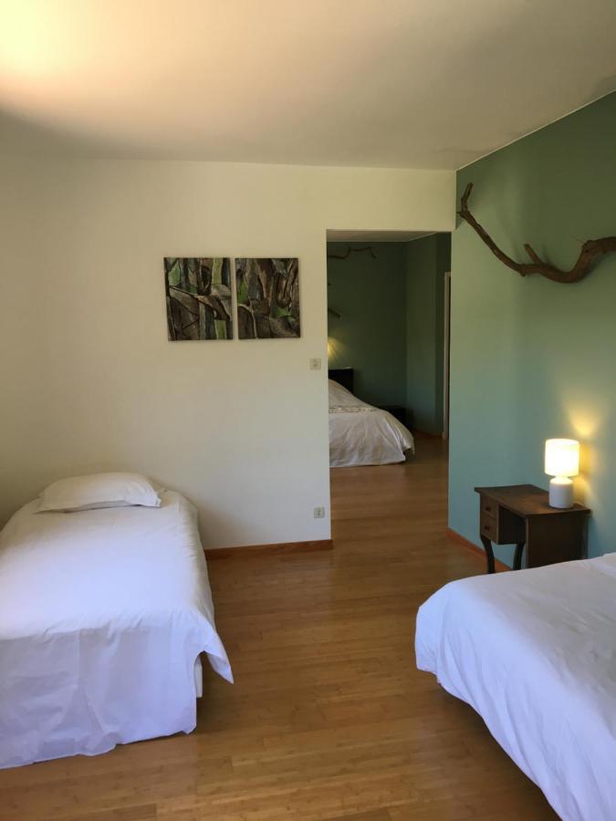 Villa Bonheur Vallespir Céret Exteriér fotografie