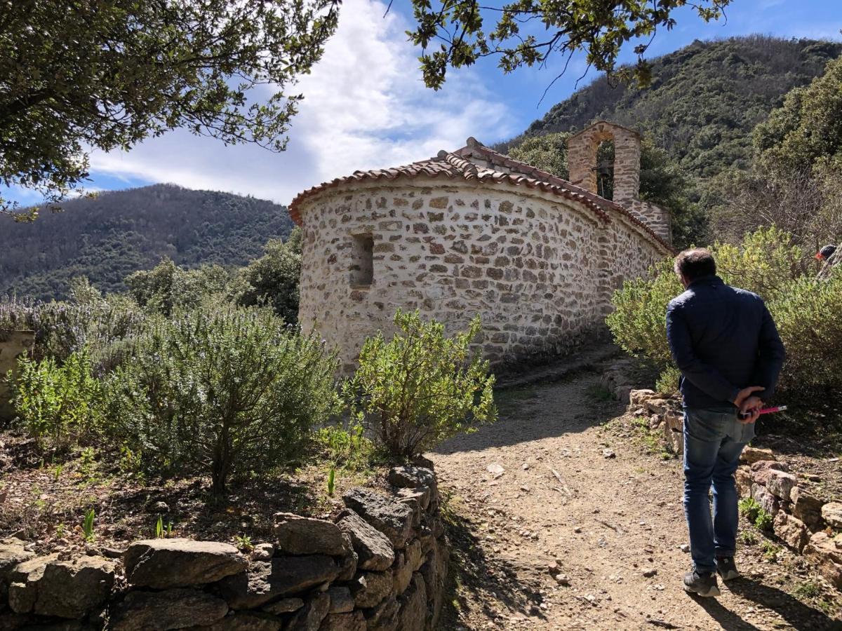 Villa Bonheur Vallespir Céret Exteriér fotografie