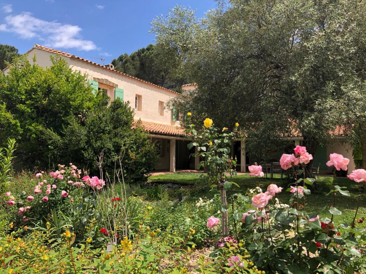 Villa Bonheur Vallespir Céret Exteriér fotografie