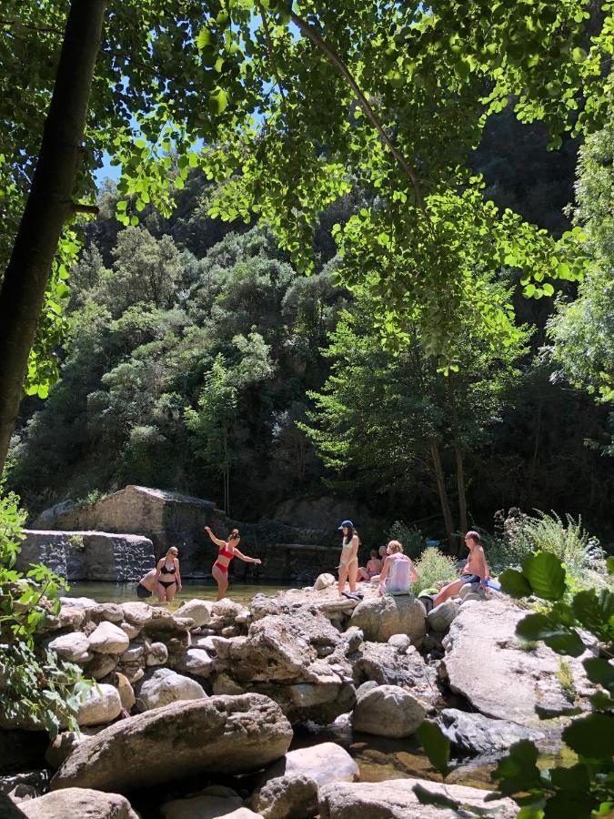 Villa Bonheur Vallespir Céret Exteriér fotografie