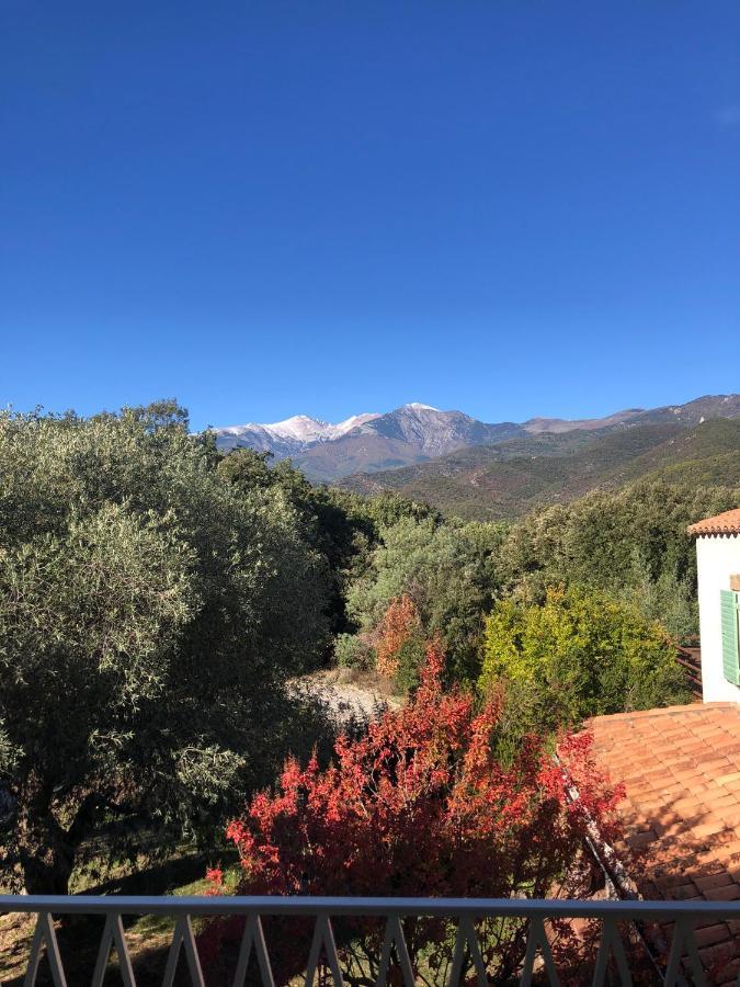 Villa Bonheur Vallespir Céret Exteriér fotografie