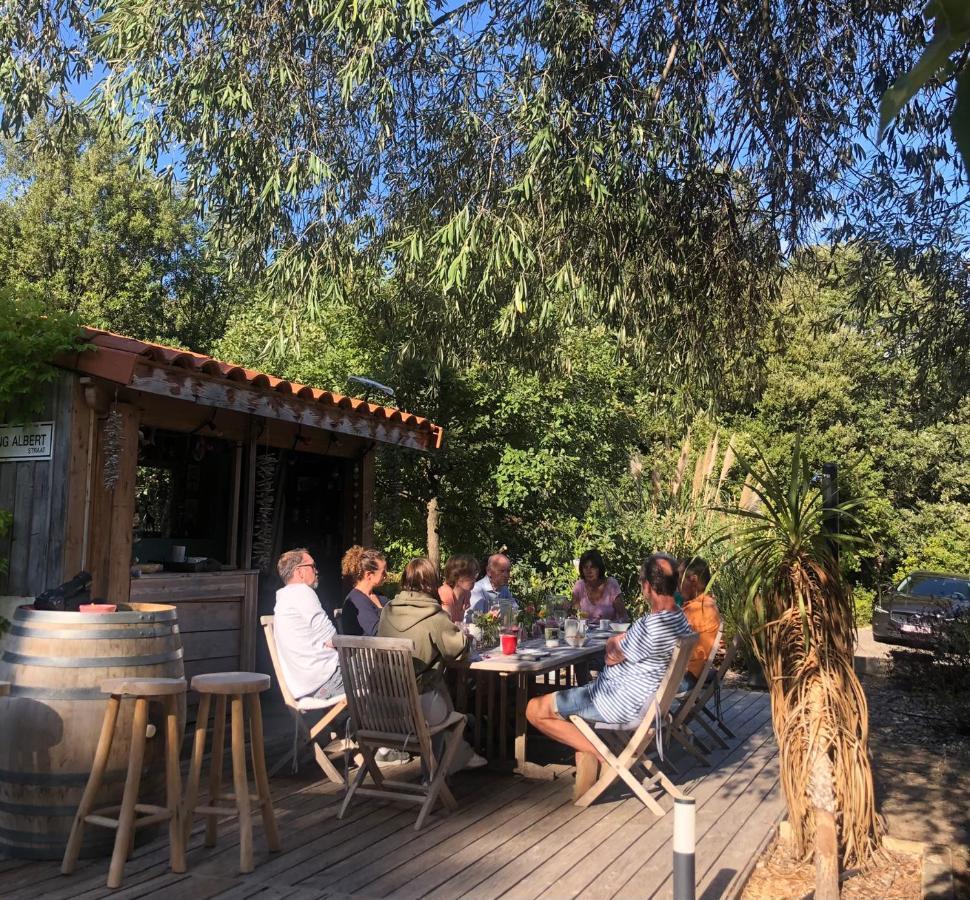 Villa Bonheur Vallespir Céret Exteriér fotografie