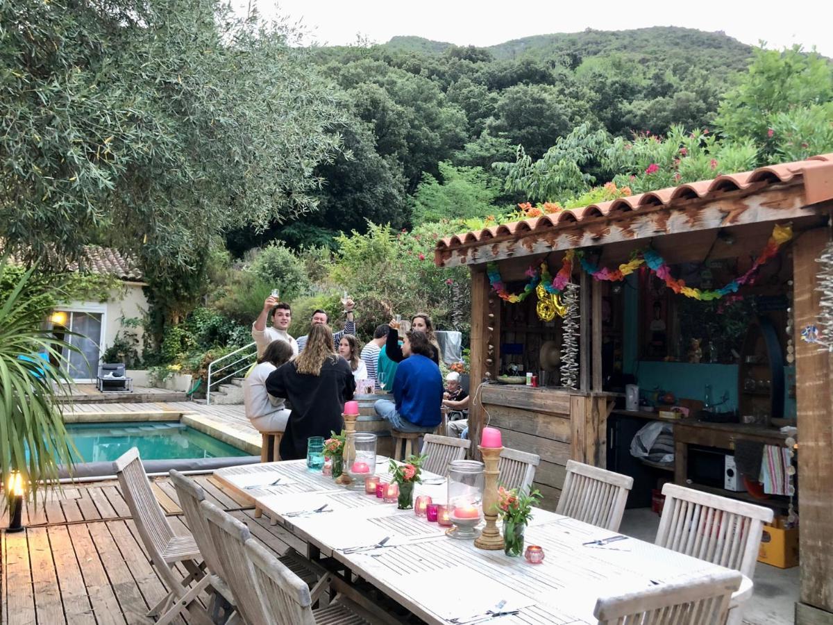 Villa Bonheur Vallespir Céret Exteriér fotografie