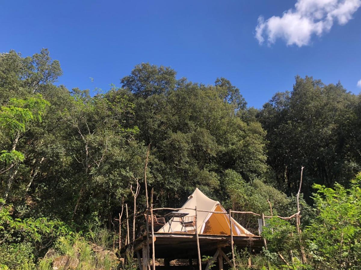 Villa Bonheur Vallespir Céret Exteriér fotografie