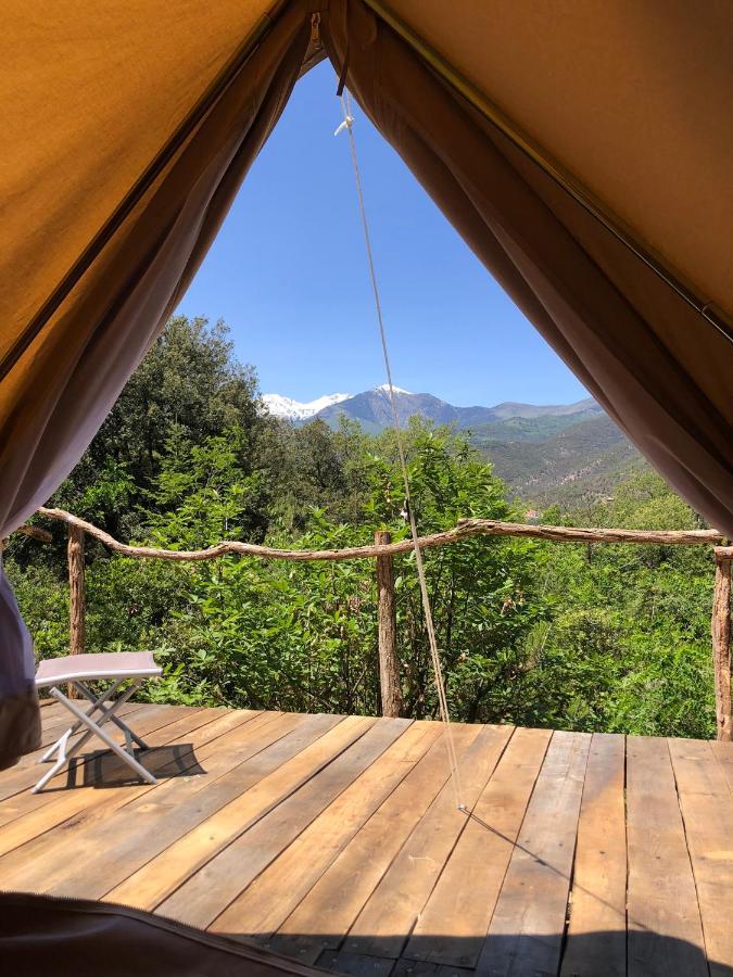 Villa Bonheur Vallespir Céret Exteriér fotografie