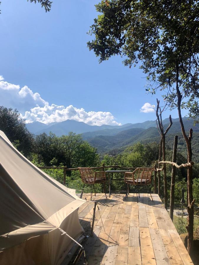Villa Bonheur Vallespir Céret Exteriér fotografie