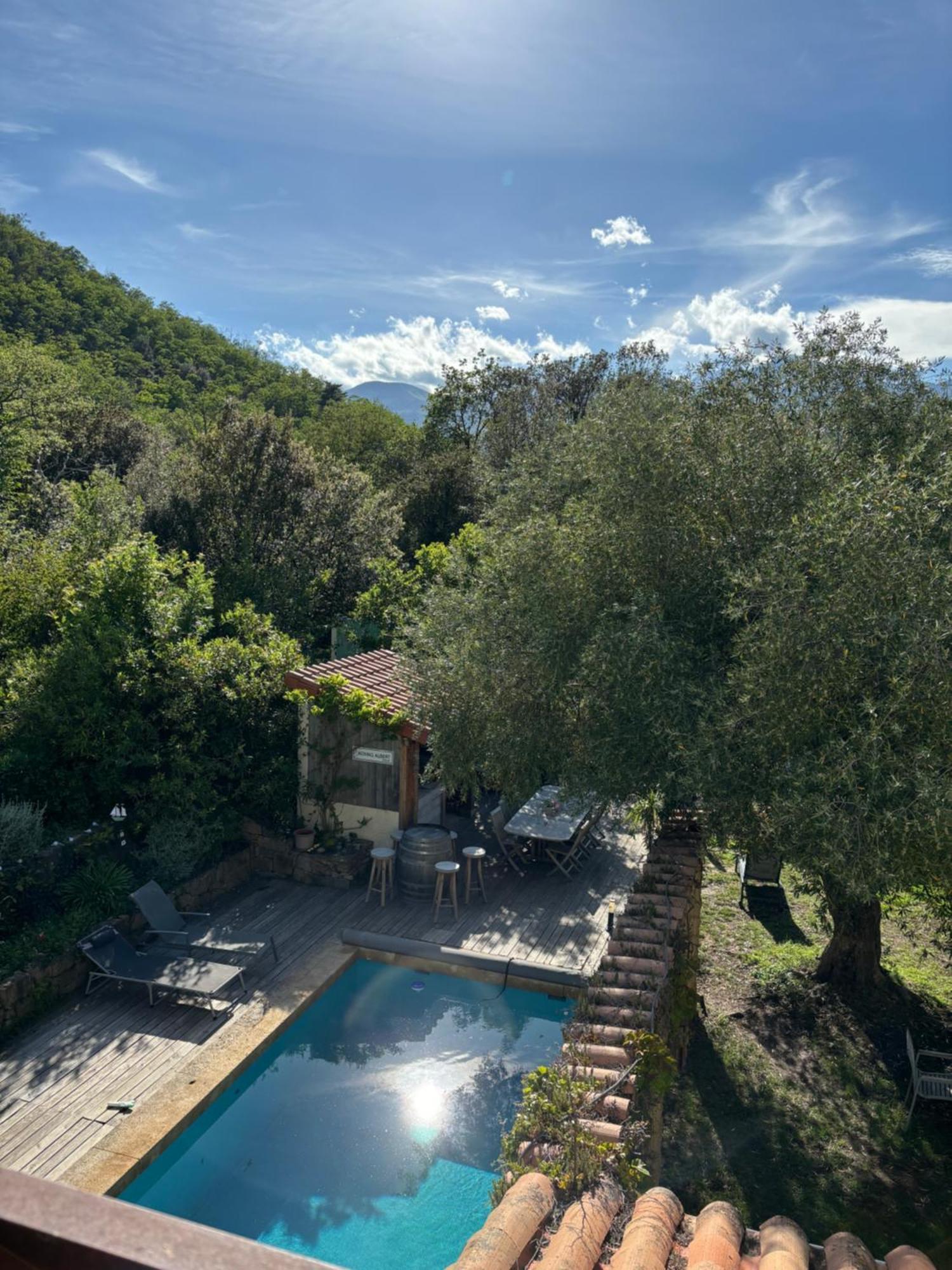 Villa Bonheur Vallespir Céret Exteriér fotografie