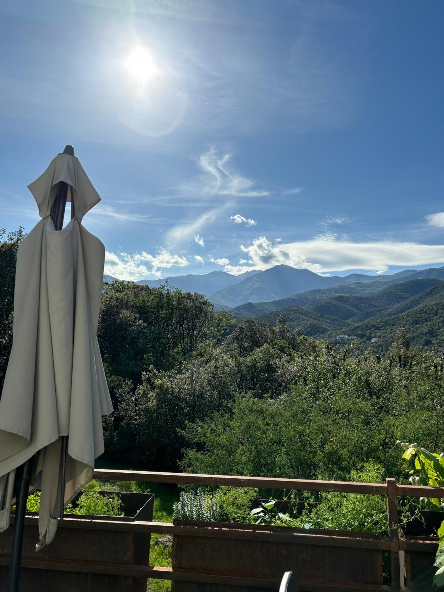 Villa Bonheur Vallespir Céret Exteriér fotografie